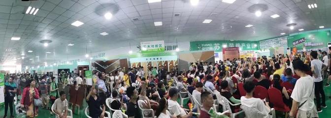 兔寶寶環保行7月29日蘇州站 綠色裝飾，感恩回饋